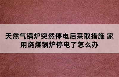 天然气锅炉突然停电后采取措施 家用烧煤锅炉停电了怎么办